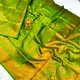 Parrot Green__Policana